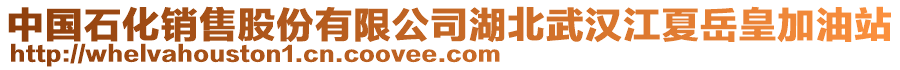 中國石化銷售股份有限公司湖北武漢江夏岳皇加油站