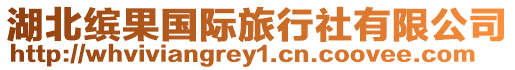 湖北繽果國際旅行社有限公司