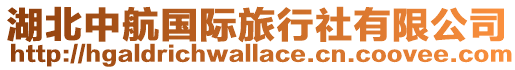 湖北中航國(guó)際旅行社有限公司