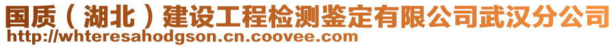 國質(zhì)（湖北）建設(shè)工程檢測鑒定有限公司武漢分公司