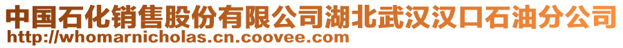 中國石化銷售股份有限公司湖北武漢漢口石油分公司