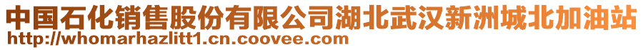 中國(guó)石化銷售股份有限公司湖北武漢新洲城北加油站