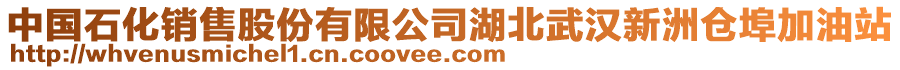 中國(guó)石化銷售股份有限公司湖北武漢新洲倉(cāng)埠加油站