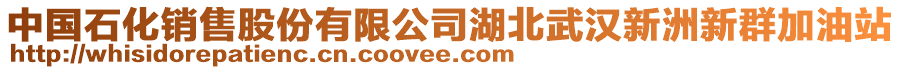 中國石化銷售股份有限公司湖北武漢新洲新群加油站