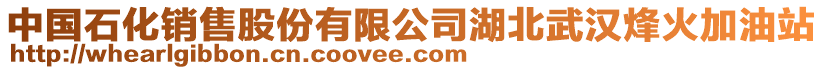 中國(guó)石化銷(xiāo)售股份有限公司湖北武漢烽火加油站