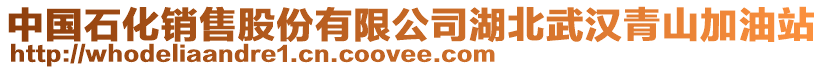 中國石化銷售股份有限公司湖北武漢青山加油站