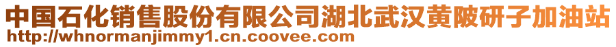 中国石化销售股份有限公司湖北武汉黄陂研子加油站