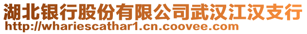 湖北銀行股份有限公司武漢江漢支行