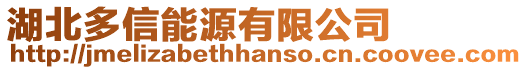 湖北多信能源有限公司