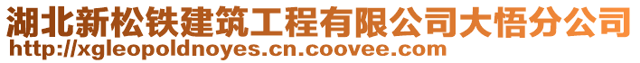 湖北新松鐵建筑工程有限公司大悟分公司