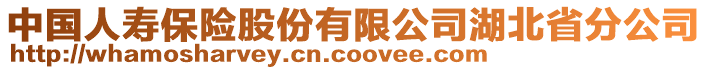 中國(guó)人壽保險(xiǎn)股份有限公司湖北省分公司