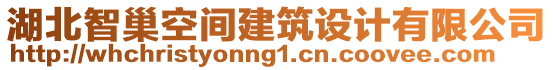 湖北智巢空間建筑設(shè)計(jì)有限公司