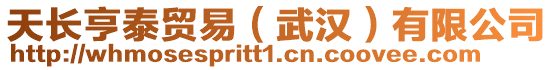 天長亨泰貿易(武漢)有限公司