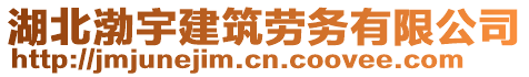湖北渤宇建筑勞務有限公司