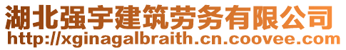 湖北強(qiáng)宇建筑勞務(wù)有限公司