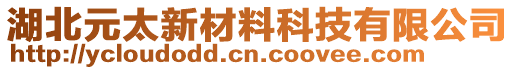 湖北元太新材料科技有限公司