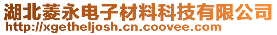 湖北菱永電子材料科技有限公司