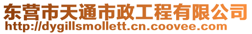 东营市天通市政工程有限公司