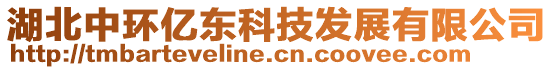 湖北中環(huán)億東科技發(fā)展有限公司