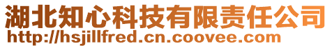 湖北知心科技有限責任公司