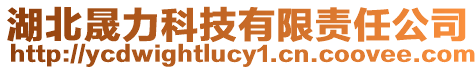 湖北晟力科技有限責(zé)任公司