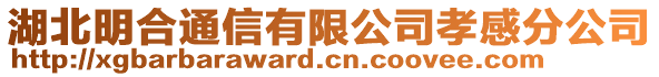 湖北明合通信有限公司孝感分公司