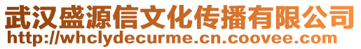 武漢盛源信文化傳播有限公司