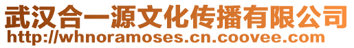 武漢合一源文化傳播有限公司