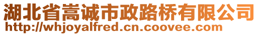 湖北省嵩誠市政路橋有限公司