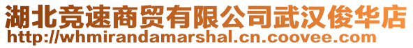 湖北競速商貿有限公司武漢俊華店