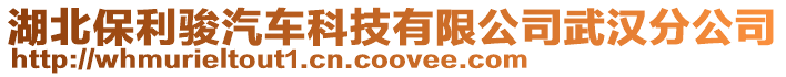 湖北保利駿汽車科技有限公司武漢分公司