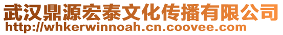 武漢鼎源宏泰文化傳播有限公司