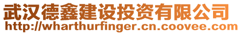 武漢德鑫建設(shè)投資有限公司