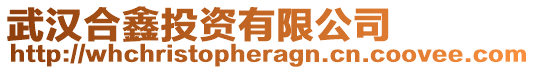 武漢合鑫投資有限公司