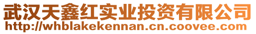 武漢天鑫紅實業投資有限公司