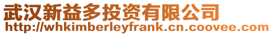 武漢新益多投資有限公司