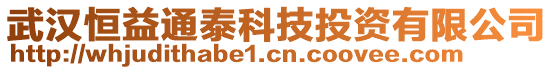 武漢恒益通泰科技投資有限公司