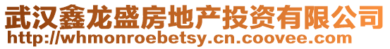 武漢鑫龍盛房地產投資有限公司