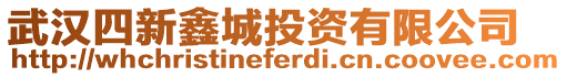 武漢四新鑫城投資有限公司
