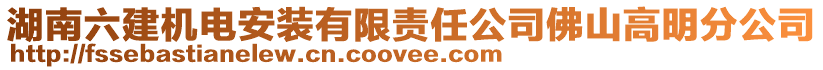 湖南六建機電安裝有限責任公司佛山高明分公司
