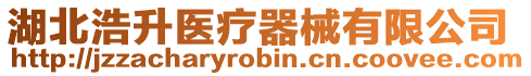 湖北浩升醫療器械有限公司