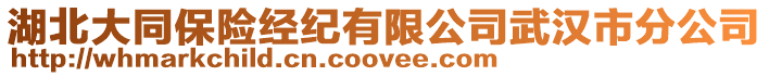 湖北大同保險經紀有限公司武漢市分公司