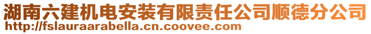 湖南六建機電安裝有限責任公司順德分公司