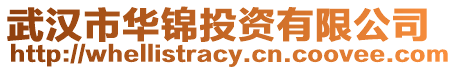 武漢市華錦投資有限公司