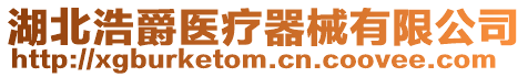 湖北浩爵醫(yī)療器械有限公司