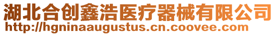 湖北合創鑫浩醫療器械有限公司