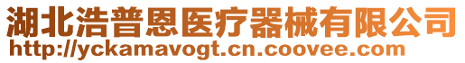 湖北浩普恩醫療器械有限公司