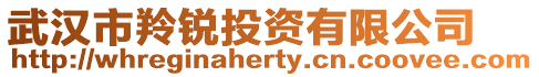 武漢市羚銳投資有限公司