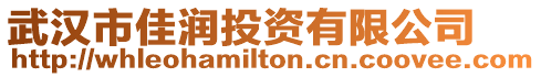 武漢市佳潤投資有限公司