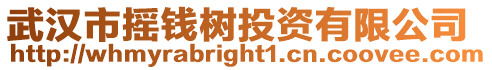 武漢市搖錢樹投資有限公司